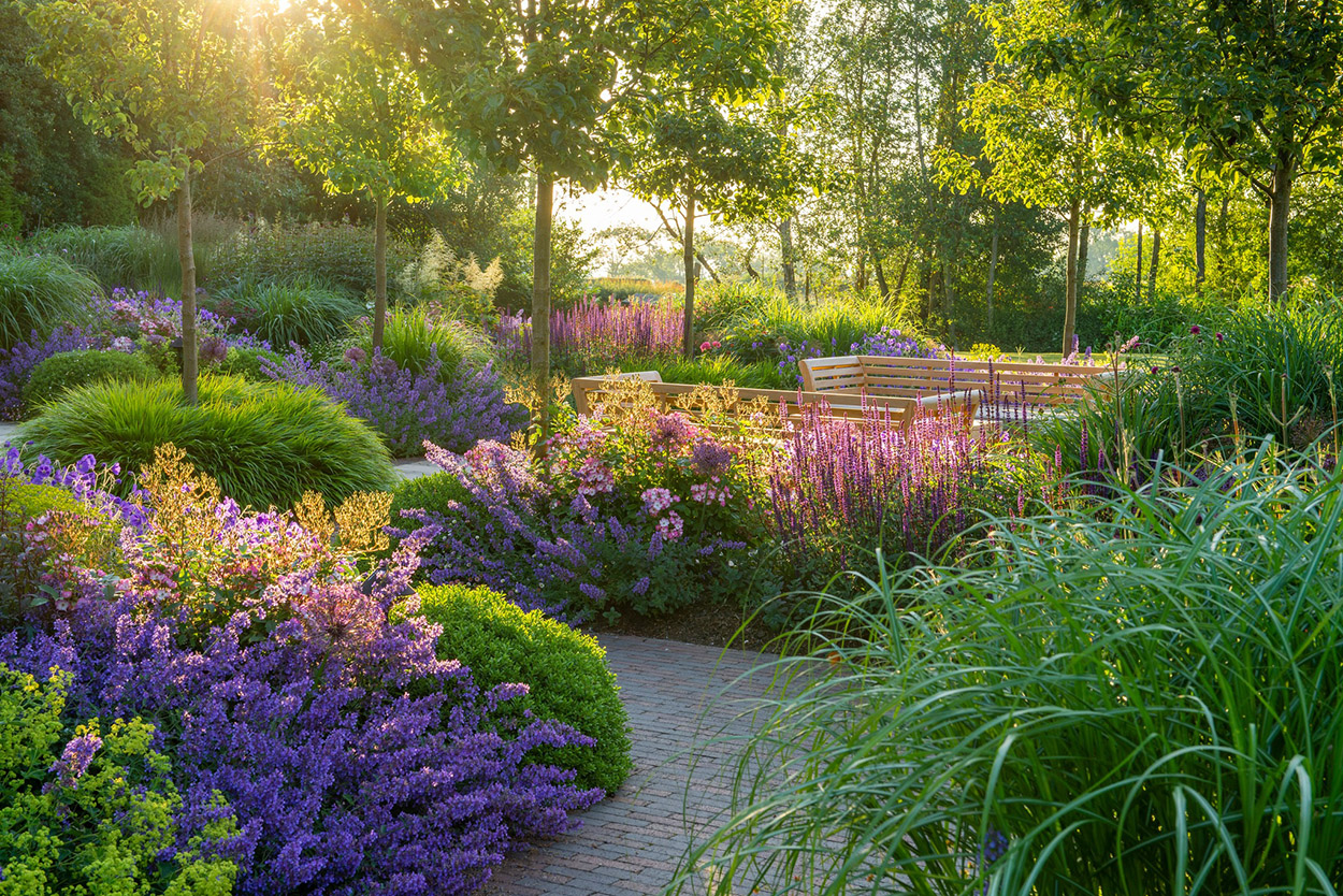 Deals Gleam Arbor Store -Deals Gleam Arbor Store 349301638 280826167624218 5707092611657283690 n